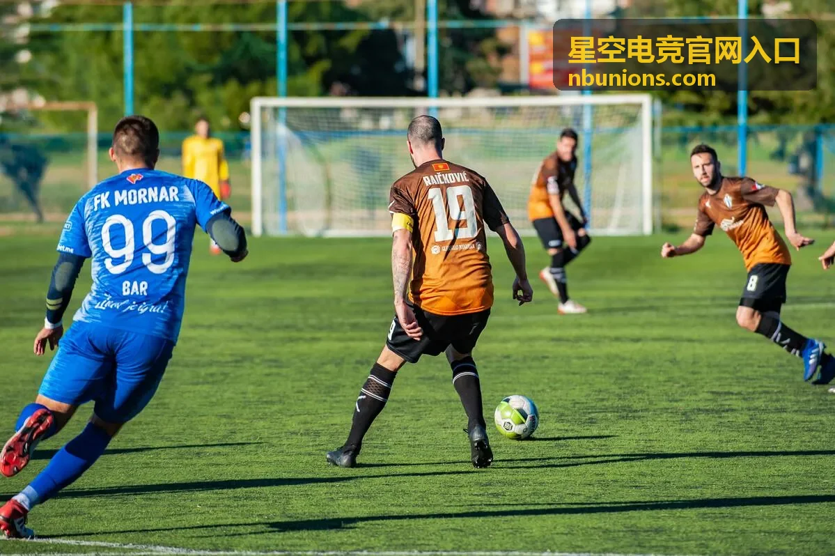 星空电竞官网入口合集目录封面